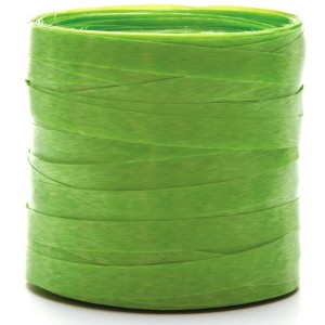 Fitilho 5mm x 50m - Verde Limão Emfesta