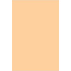 Placa de EVA Liso 40x60cm - Bege