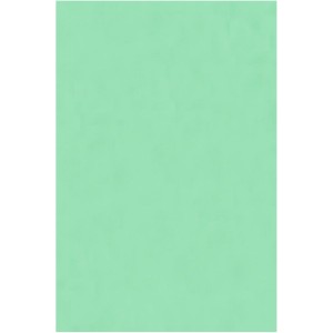 Placa de EVA Liso 40x60cm - Verde Claro