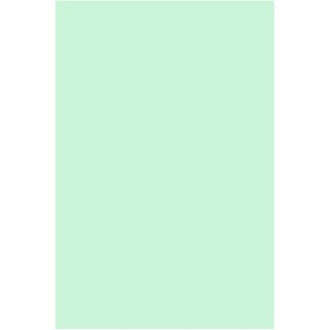 Placa de EVA Liso 40x60cm - Verde Hortelã