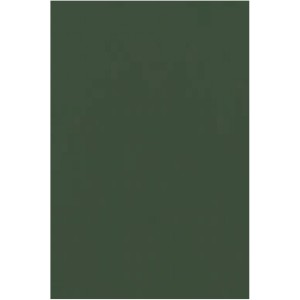 Placa de EVA Liso 40x60cm - Verde Musgo