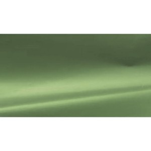 Papel Cartolina Laminada 49x59cm - Verde Claro