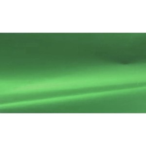 Papel Cartolina Laminada 49x59cm - Verde Bandeira c/20