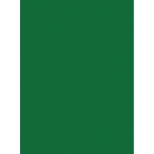 Papel Cartolina 180g 48x65cm - Verde Bandeira