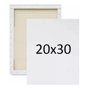 Tela para Pintura 20x30cm Luarte